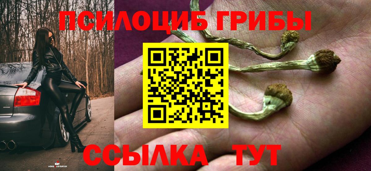 продажа наркотиков  Вход с VPN  Ревда  Псилоцибиновые грибы MAGIC MUSHROOMS  Псилоцибиновые грибы мухоморы 
